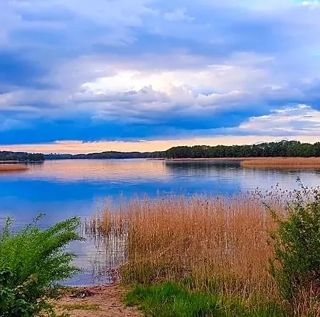 Lodge Mazurskisen *