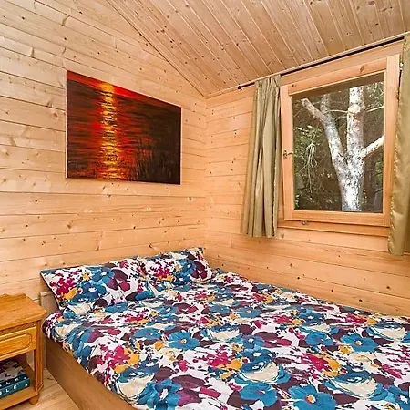 Lodge Mazurskisen *